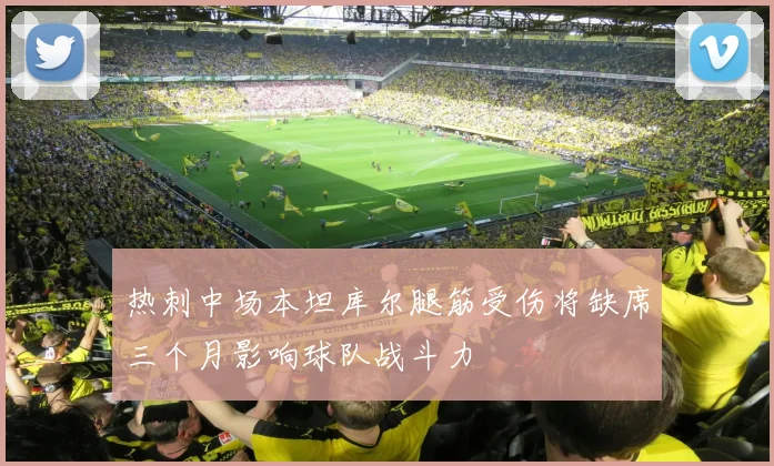 热刺中场本坦库尔腿筋受伤将缺席三个月影响球队战斗力