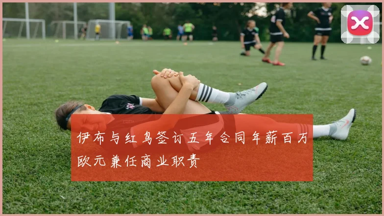 伊布与红鸟签订五年合同年薪百万欧元兼任商业职责
